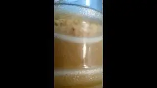 Ананасовая брага день 4-й. Бангкок