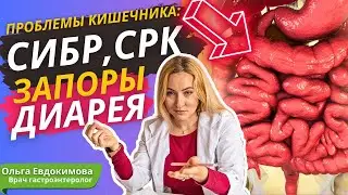 Диарея, запоры, СРК, СИБР и не только: симптомы болезней кишечника и их лечение.