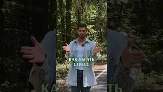 Как быстро убрать стресс?
