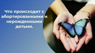 Что происходит с абортированными и нерожденными детьми. Елена Газизова
