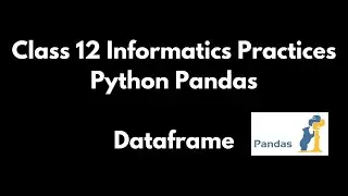Class 12 Informatics Practices - Python Pandas DataFrame