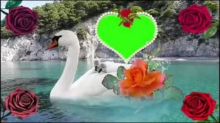 Green Screen Home New Wedding Videos Free Download For Use Green Screen Home Wedding Video 2019 31
