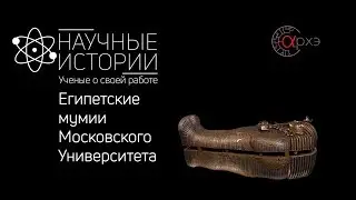 Научные истории. ЕГИПЕТСКИЕ МУМИИ МОСКОВСКОГО УНИВЕРСИТЕТА