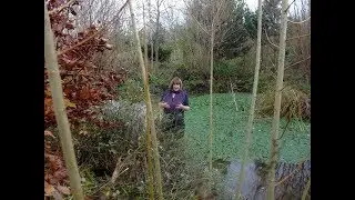 Permaculture After The Flood