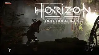 Horizon Forbidden West™ Complete Edition Mr.GOLDBERG v1.0.38.0 PC Gameplay