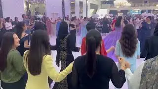 Musti Muzik ll Kalabalik Halay Part 2 ll