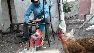 vida de campo