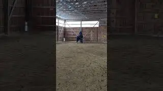 Best Winter Warm up #horse #horseriding