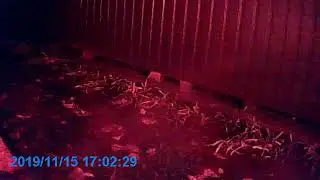 Задняя камера ночь Eplutus D06