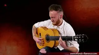 Pepe Fernández, Bulerias - guitarra de Pedro Muriel