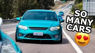 LARGEST Modified Car Cruise I've Ever Driven