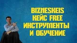 Bizneskeis обзор  Кейс Free