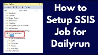 How to Schedule SSIS Job for Daily run | SQL Server Integration Services |  Step by Step Guide 