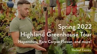 NEPENTHES and More! Spring 2022 Highland Greenhouse Tour