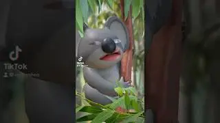 Most lore accurate Koala 