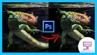 ✅ Cómo MEJORAR CALIDAD de IMAGEN en Photoshop 🔵
