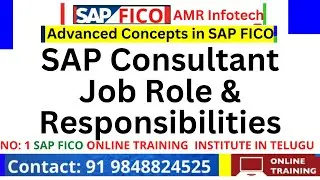 sap fico consultant roles and responsibilities in telega -SAP Consultant Job Role & Responsibilities