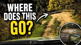 Exploring Hidden Tracks Near an Old TAFE Site