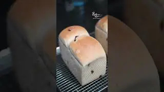 Raisin Toast 