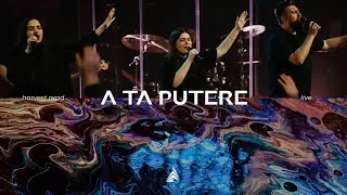 A Ta Putere | Live | Harvest Arad