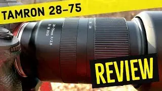 Tamron 28-75 Review After First Day Using