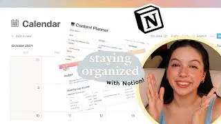 How I Organize Myself As A Graphic Designer With Notion!