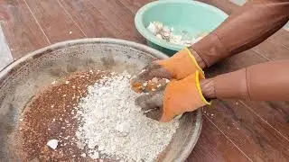 How to make Egg fertilizer for plants