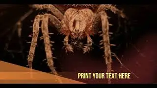 Nature & Travel SlideShow [AEP] #70