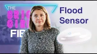 The Bright Girl from FIBARO |  Flood Sensor part 1