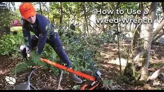 How to Use a Weed Wrench