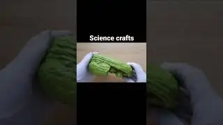 Biology Craft projects Chloroplast  | School projects