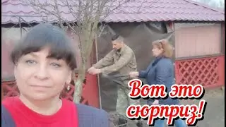 Вот это сюрприз. Неожиданный визит и помощь. Обрезка сада. Жизнь семьи в деревне.