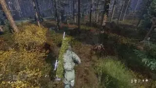 DayZ_Арма