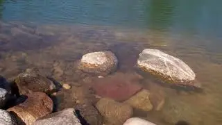Водоём без плёнки.