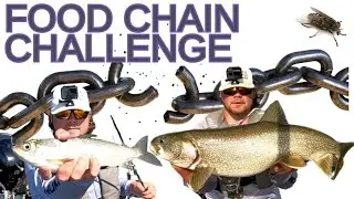From Catching a Fly to Reeling in a Lake Trout: The Ultimate Fishing Challenge #fishing #challenge
