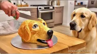 🍰Funny Dog and Cat React to cakes that look like them🤣 | Ultimate Pet Compilation