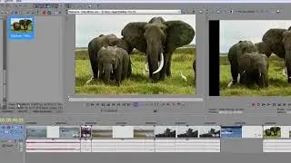 Sony Vegas Pro 20   Working with Footage of Different Types