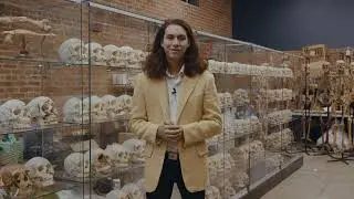 Update from The Bone Museum!