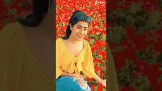 Gulabisare❤️🙈 #gulabisadi #gulabisharara #gulabi #fyp #trend #shorts #viral #love #reels #beauty