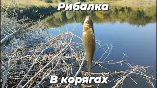 рибалка на карася.ставок пересихає 