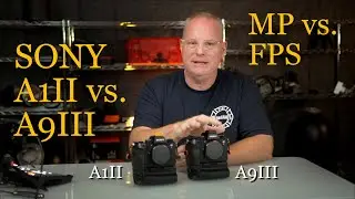 Which camera is better?  Sony A1II or Sony A9III?