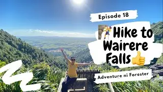 “Hike to the Highest Waterfall in New Zealand’s, North Island”-Wairere Falls||Adventure ni Forester