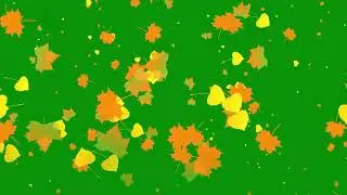 Green Screen Autumn Leaves | Green Screen Leaves Effects | Falling leaves Green Screen Effect 🍂