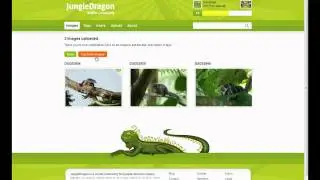 JungleDragon Multi Upload Demo