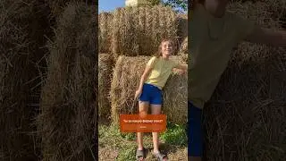 Запаслись на зиму сеном?🐮