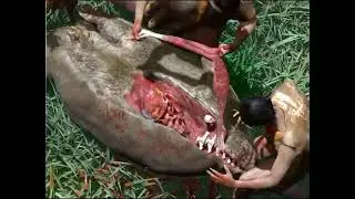 Megafauna hunted by humans