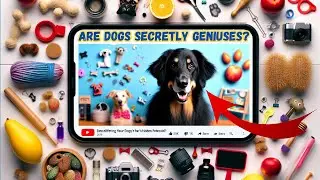 Unlocking Canine Intelligence: Do Dogs Understand Different Objects? And HOW?