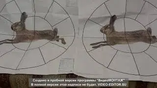 ИЖ-54 vs Stoeger 2000. Мой тест.