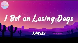 Mitski - I Bet on Losing Dogs (Lyrics) | You're my baby say it to me