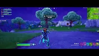 Fortnite another 2nd place